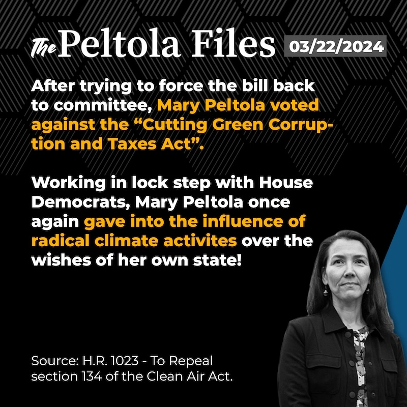 Voted Against Cutting Green Corruption and Taxes Act